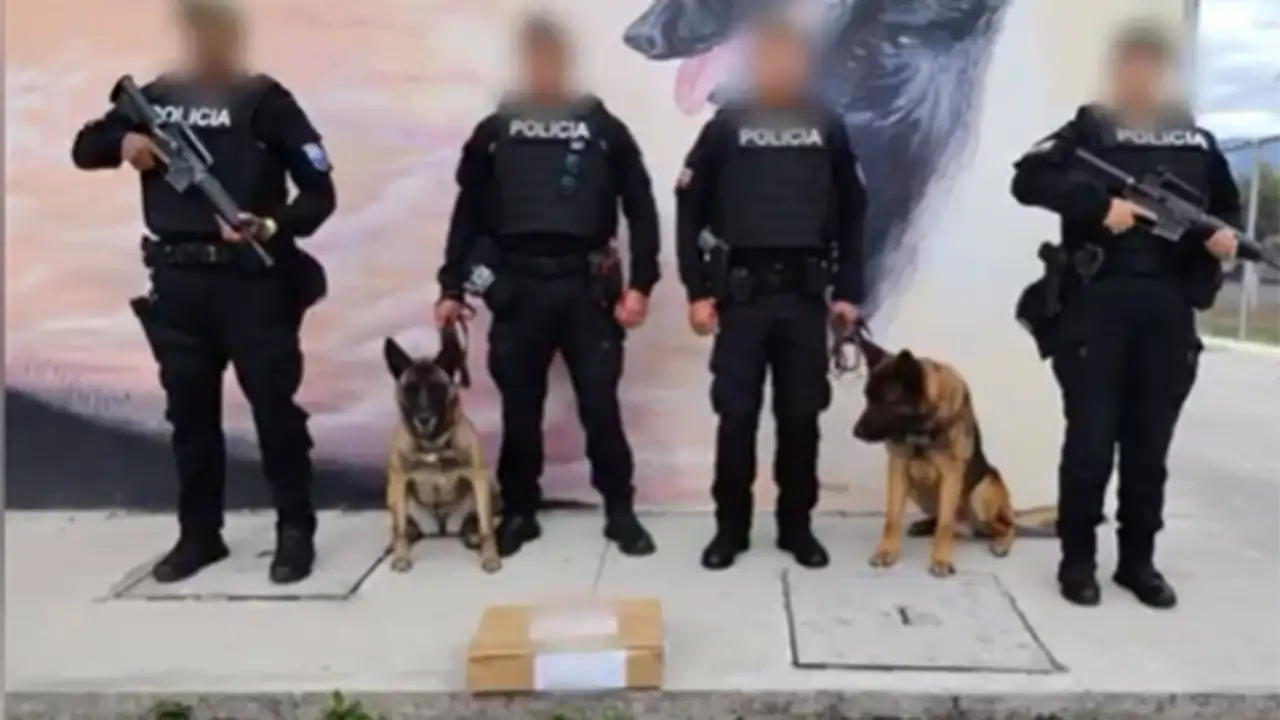 Incautan cocaína líquida con destino a Europa