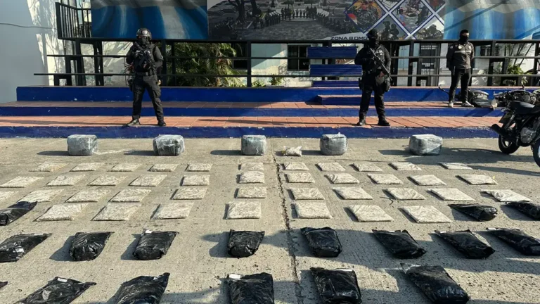 Operativos contra el crimen organizado en la Zona 8