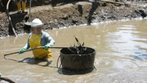 Crudo recuperado fortalece producción y remediación