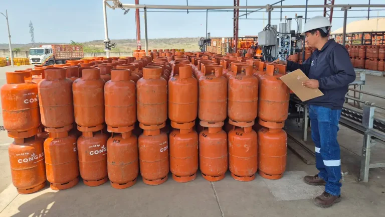 Gobierno controla precios oficiales en combustibles y gas