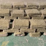 Incautados 110 kilos de marihuana en vehículo abandonado