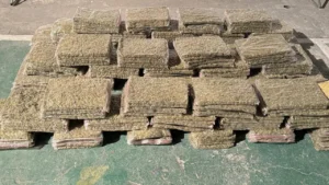 Incautados 110 kilos de marihuana en vehículo abandonado