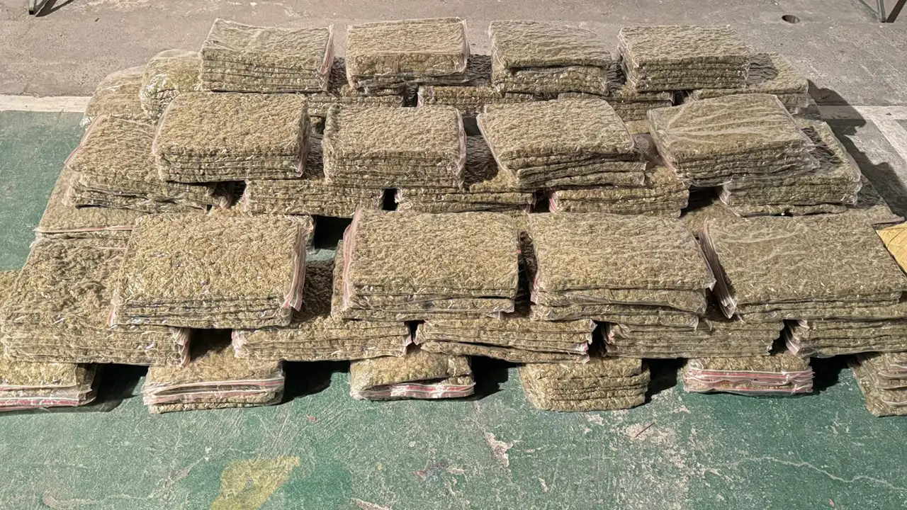 Incautados 110 kilos de marihuana en vehículo abandonado