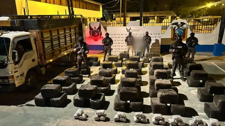 Incautan marihuana oculta en un camión en La Propicia