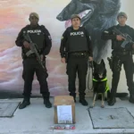 Intervención policial frustra envío de cocaína a España