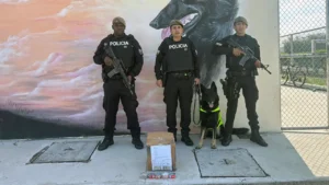 Intervención policial frustra envío de cocaína a España