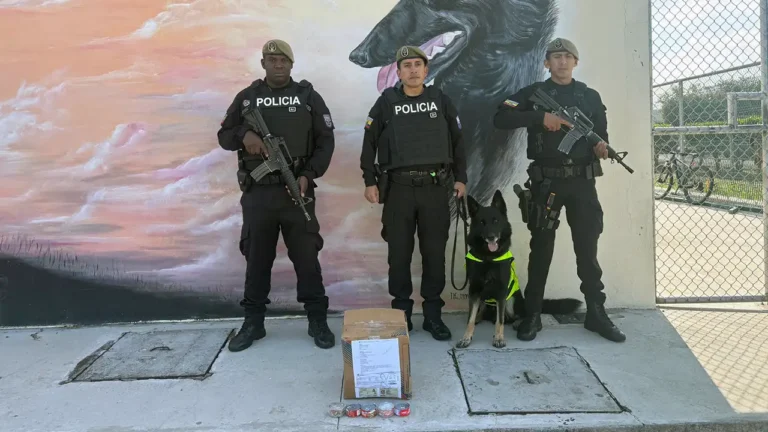 Intervención policial frustra envío de cocaína a España