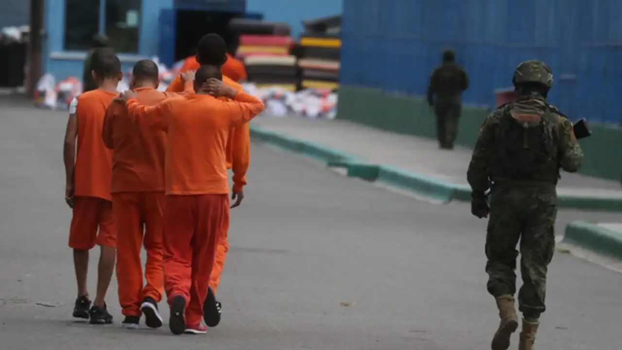 Sentencian a 13 miembros de "Los Lobos" en cuenca